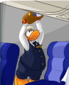 Thumbnail for version as of 10:00, 6 February 2017