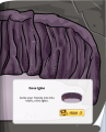 Thumbnail for version as of 11:34, 7 February 2016